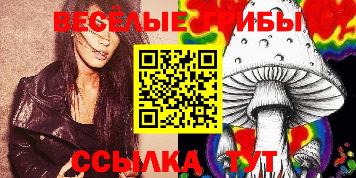 Сертолово  Галлюциногенные грибы мухоморы  Вход с VPN 